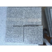 China Polished Grey G602 Bianco Crystal Granite for/Flooring/Paving Tiles